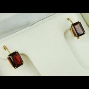 10kt Garnet earrings